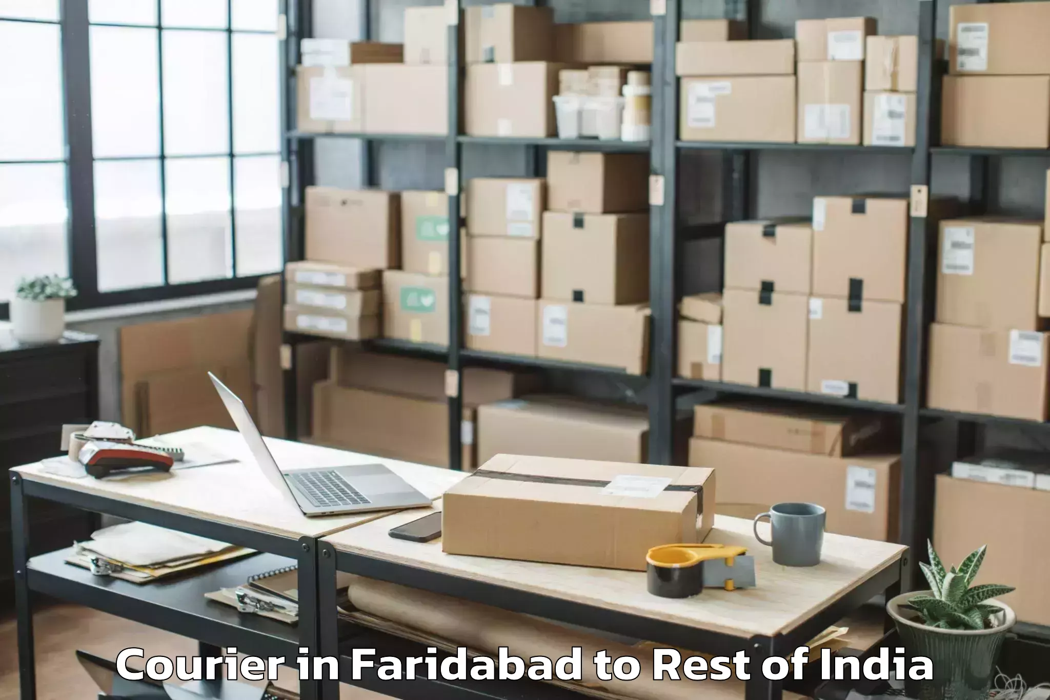 Leading Faridabad to Jagner Courier Provider